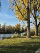 Budapest, XX. kerület - Gubacsipuszta