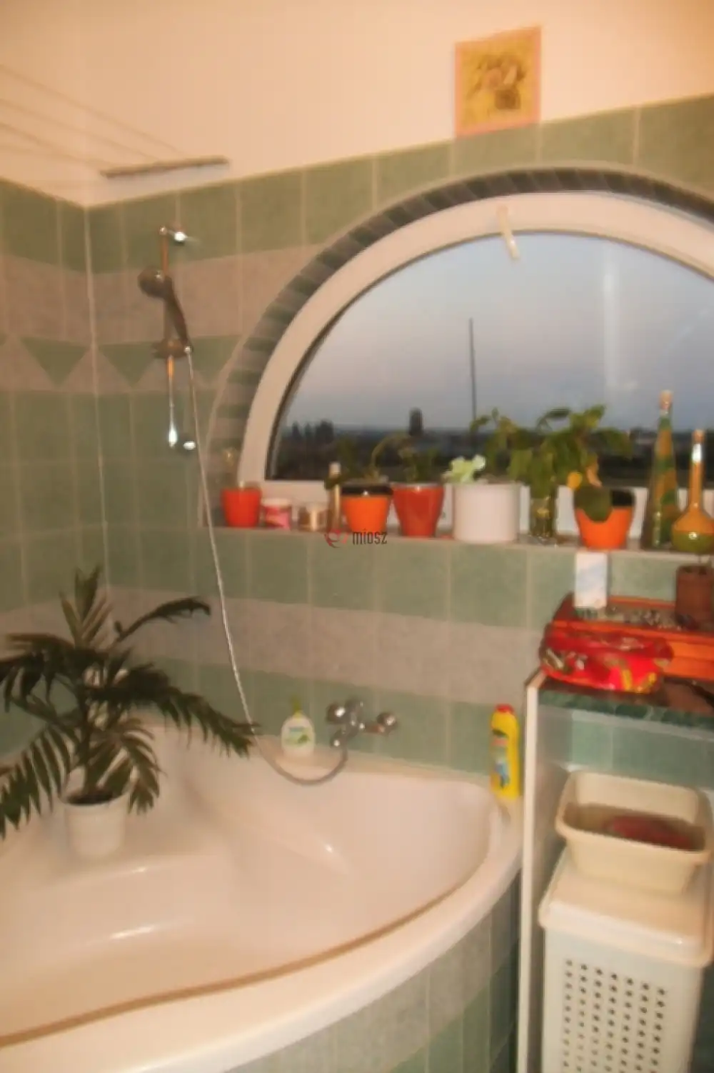 Pest megye - Halásztelek