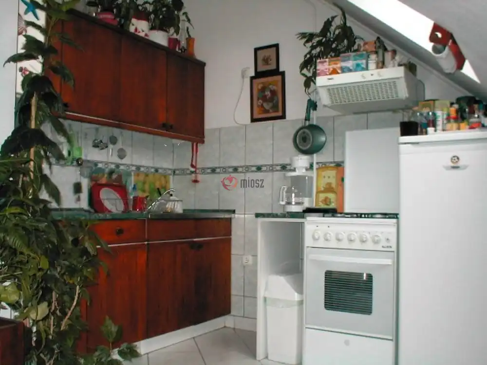 Pest megye - Halásztelek