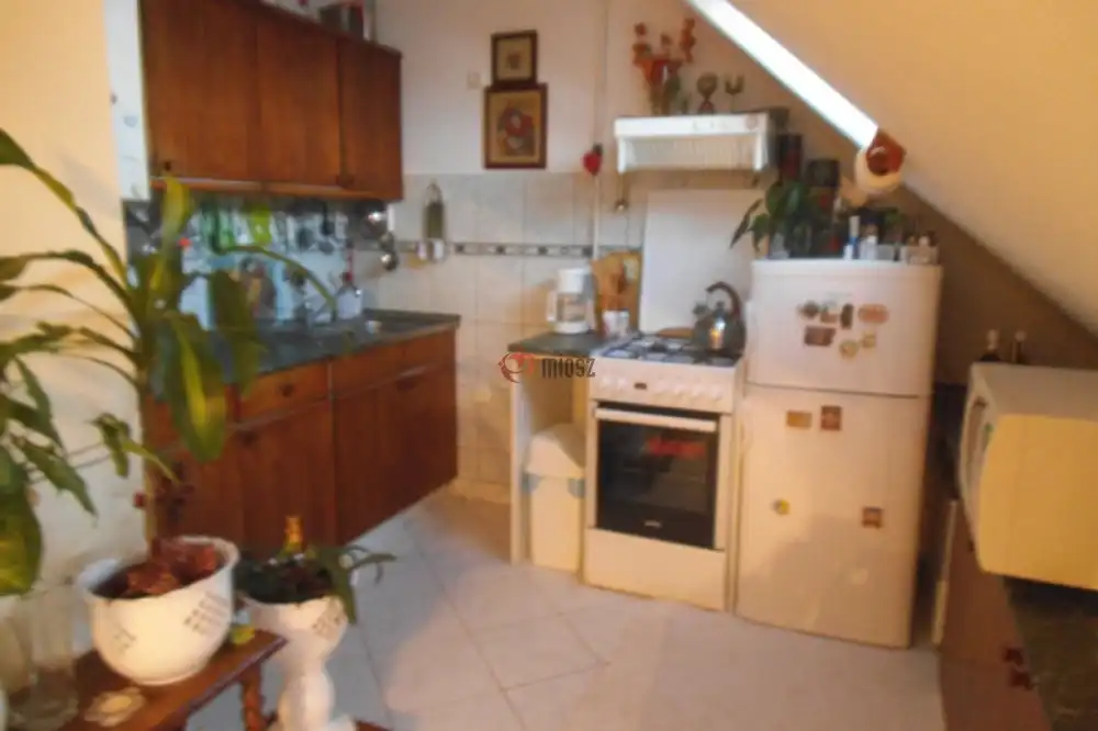 Pest megye - Halásztelek