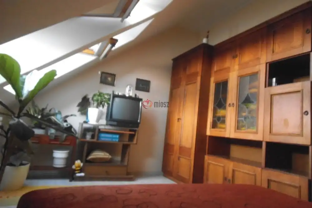 Pest megye - Halásztelek