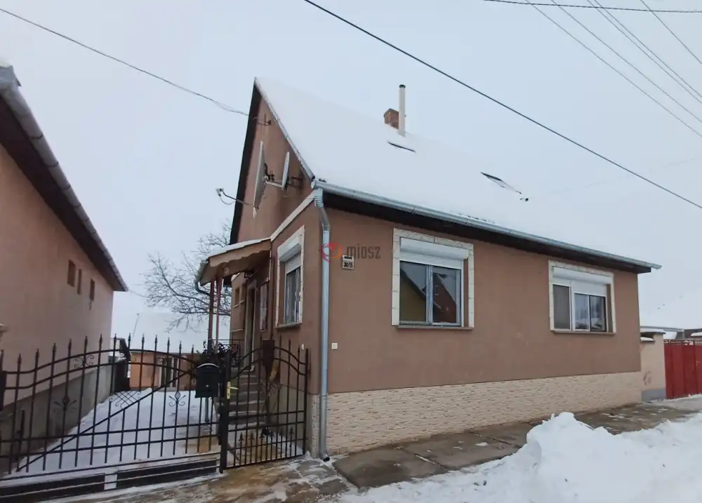 Bács-Kiskun megye - Baja