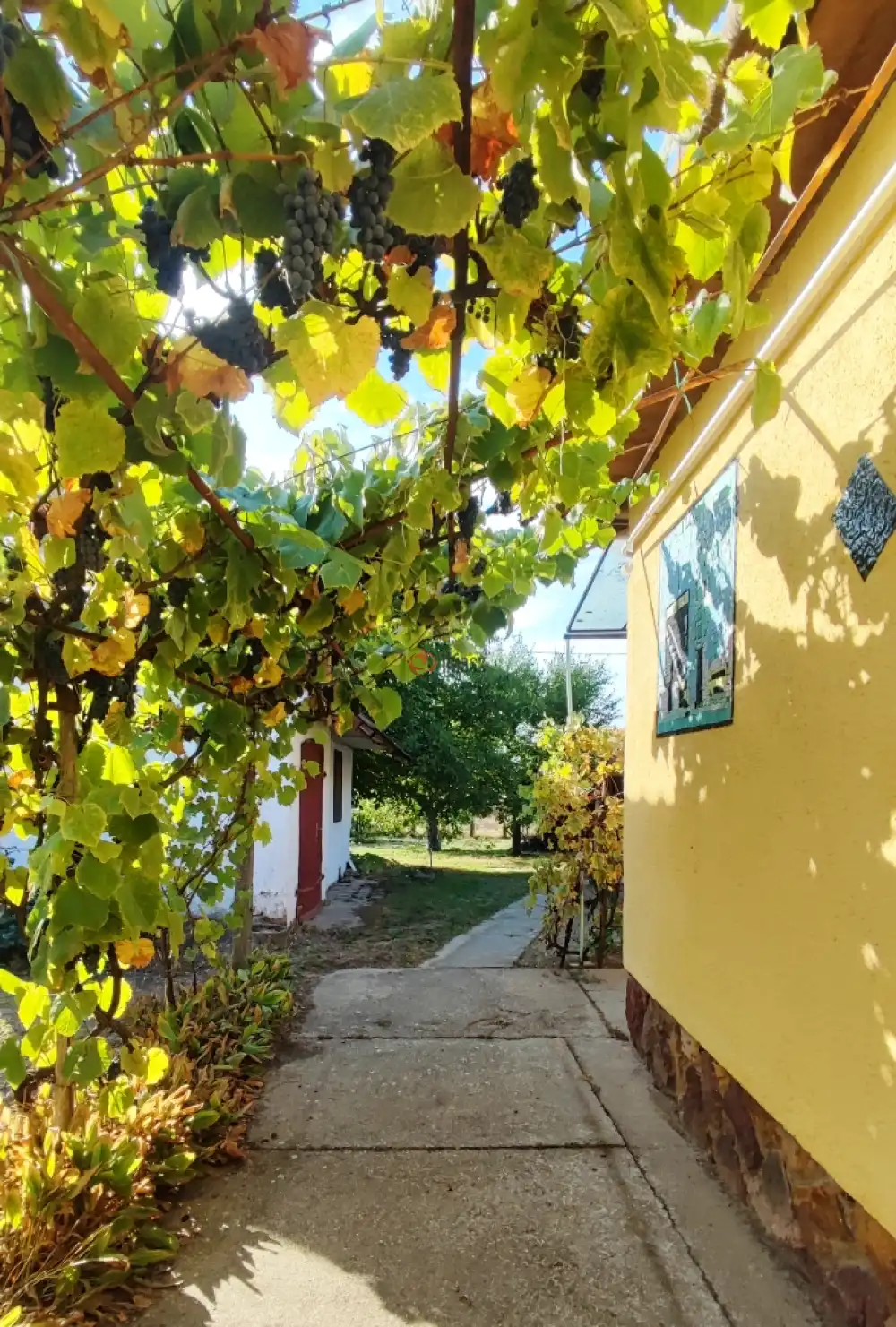 Bács-Kiskun megye - Baja