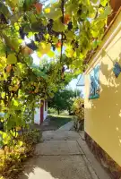 Bács-Kiskun megye - Baja