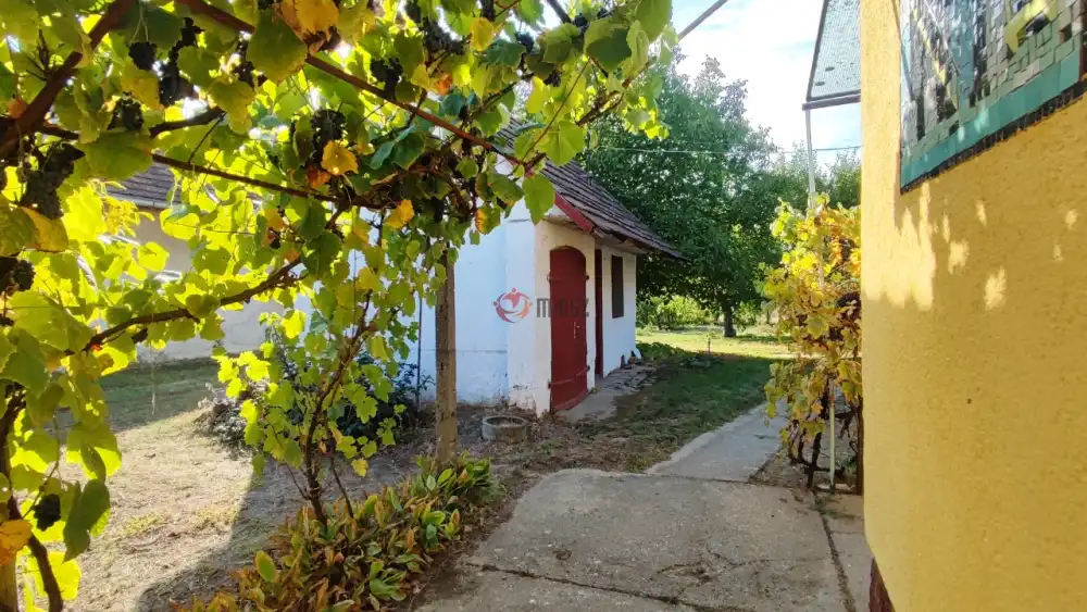 Bács-Kiskun megye - Baja