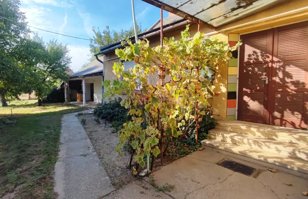 Bács-Kiskun megye - Baja