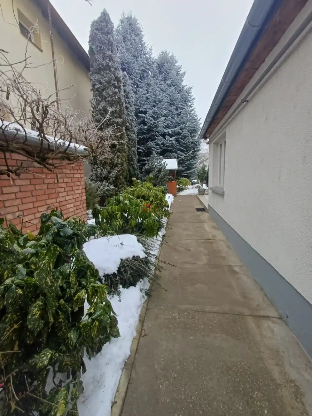 Bács-Kiskun megye - Baja