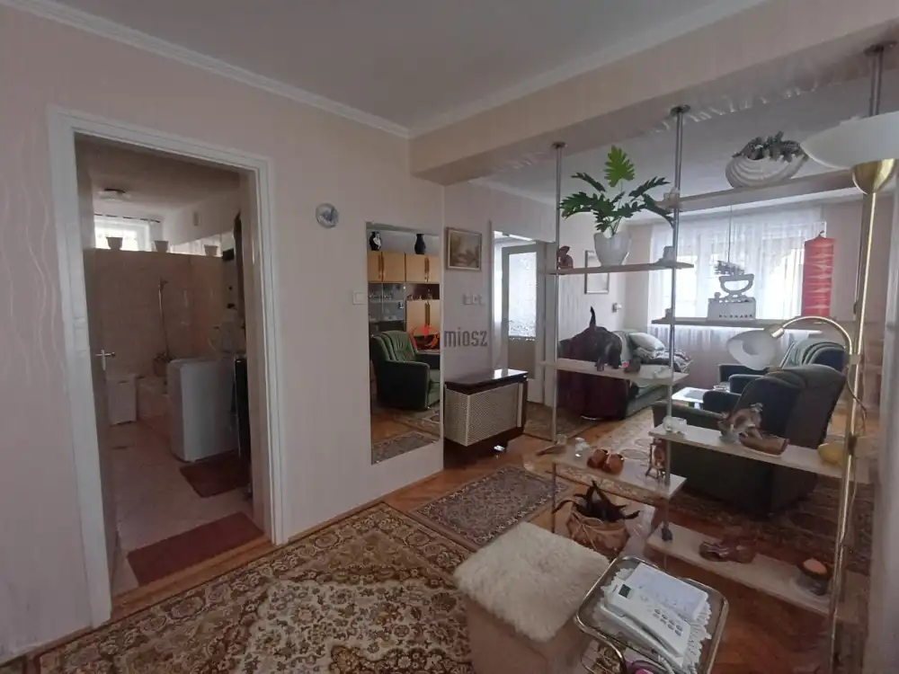 Bács-Kiskun megye - Baja