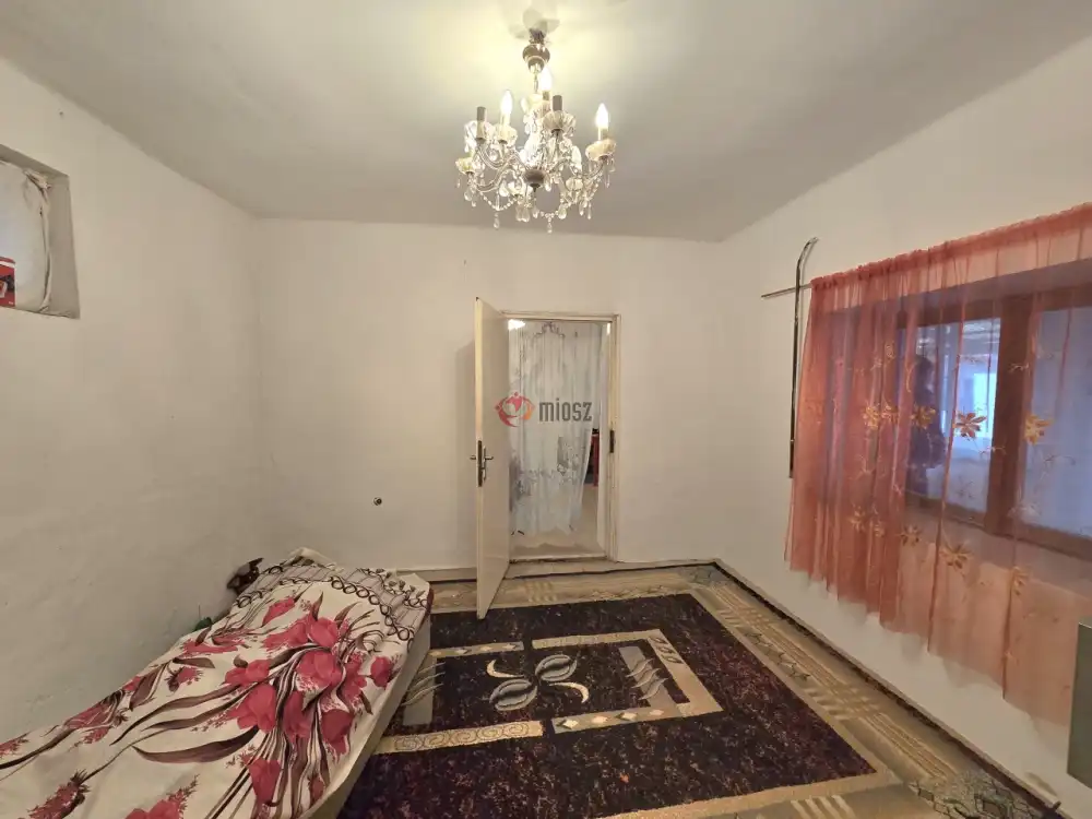 Bács-Kiskun megye - Baja