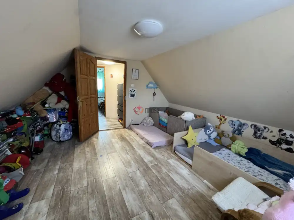 Bács-Kiskun megye - Baja