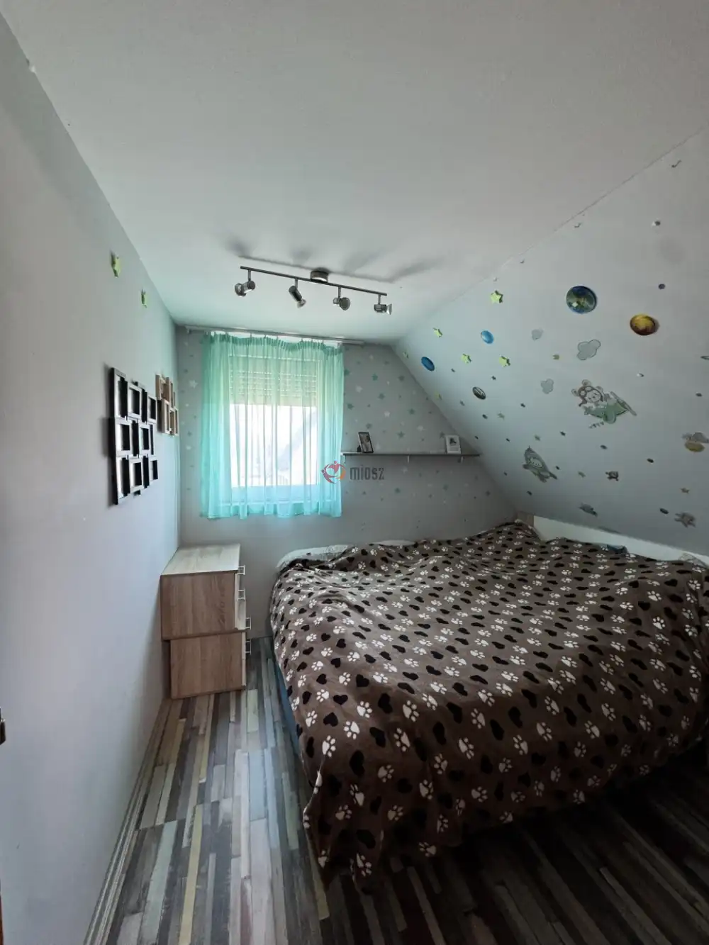 Bács-Kiskun megye - Baja