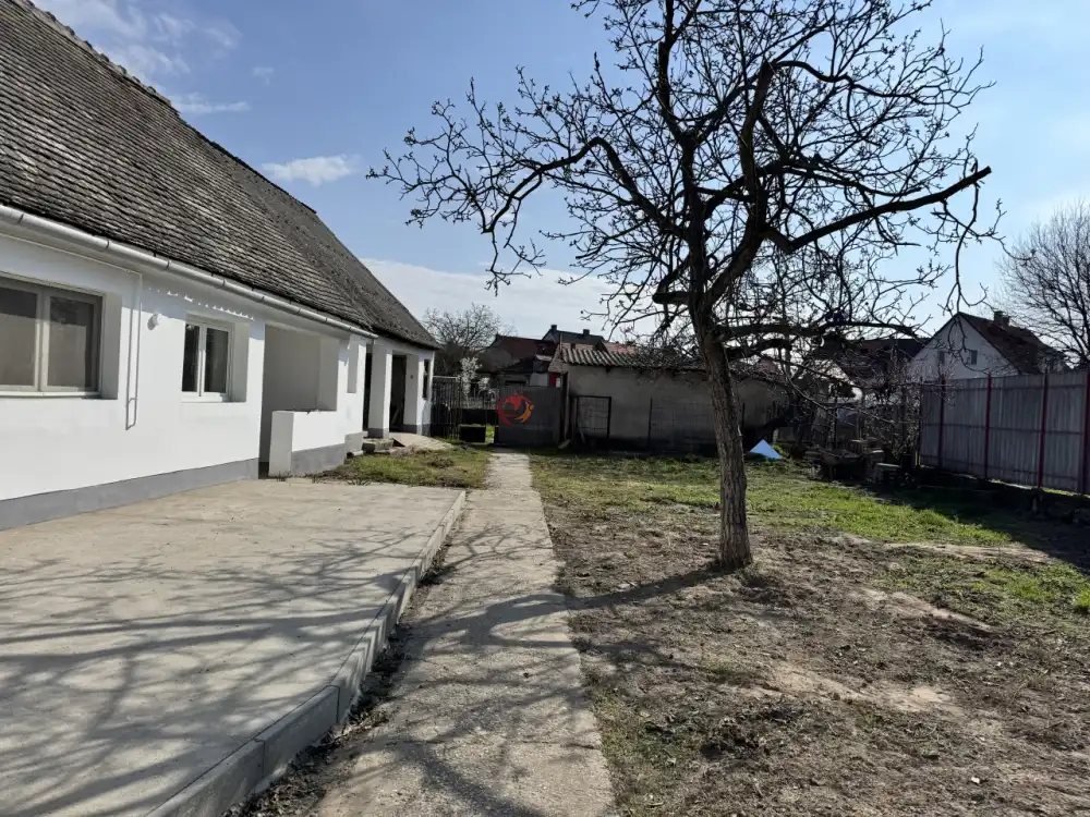 Bács-Kiskun megye - Baja