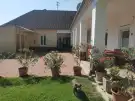 Komárom-Esztergom megye - Bana
