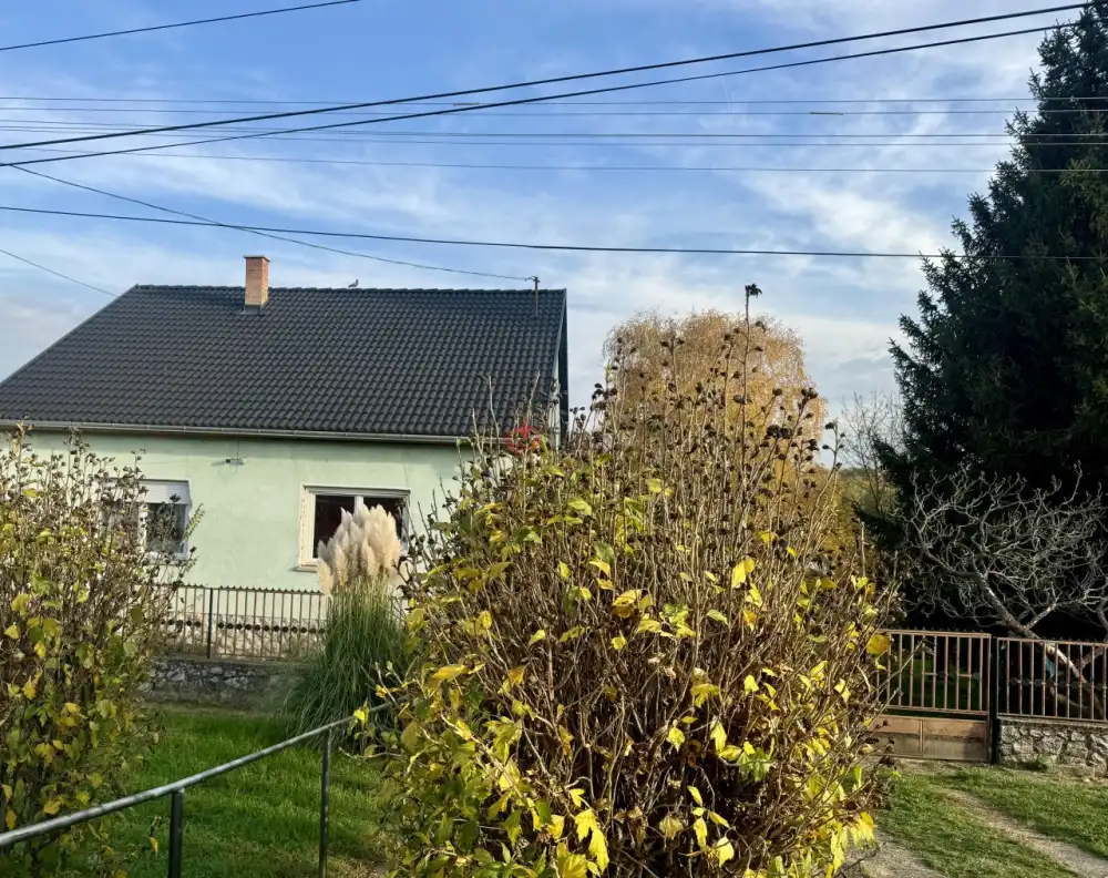 Baranya megye - Bár