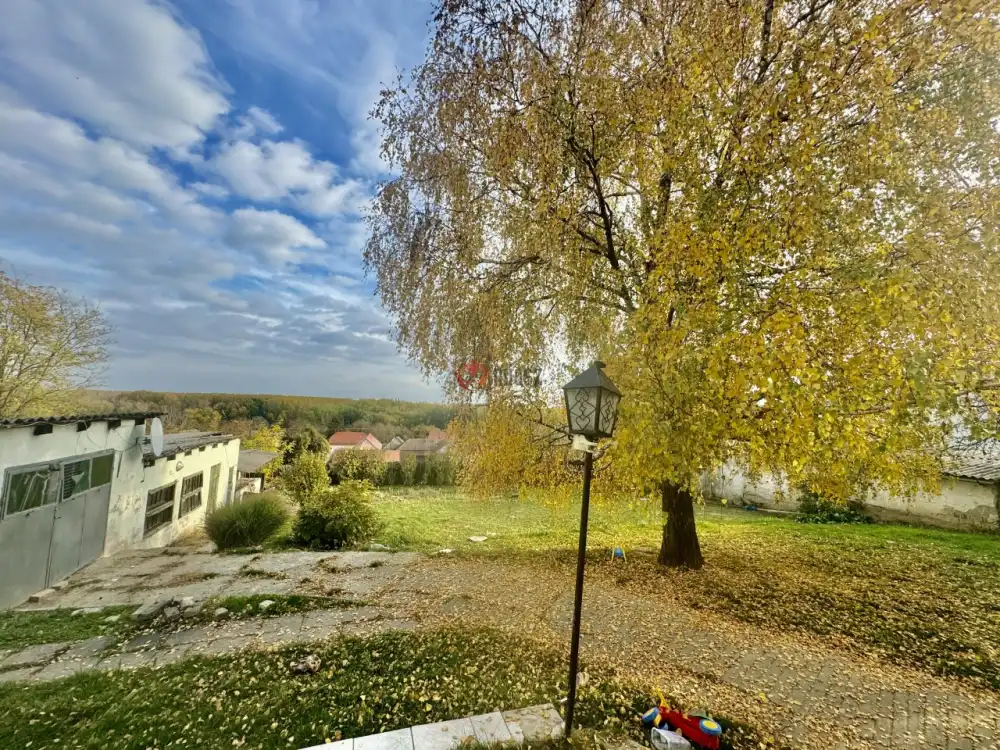 Baranya megye - Bár