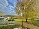 Baranya megye - Bár