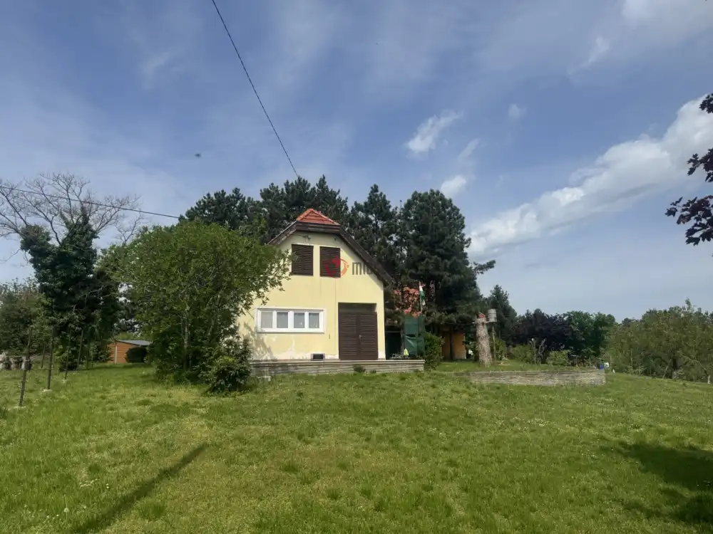 Baranya megye - Bár