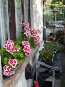 Pest megye - Biatorbágy