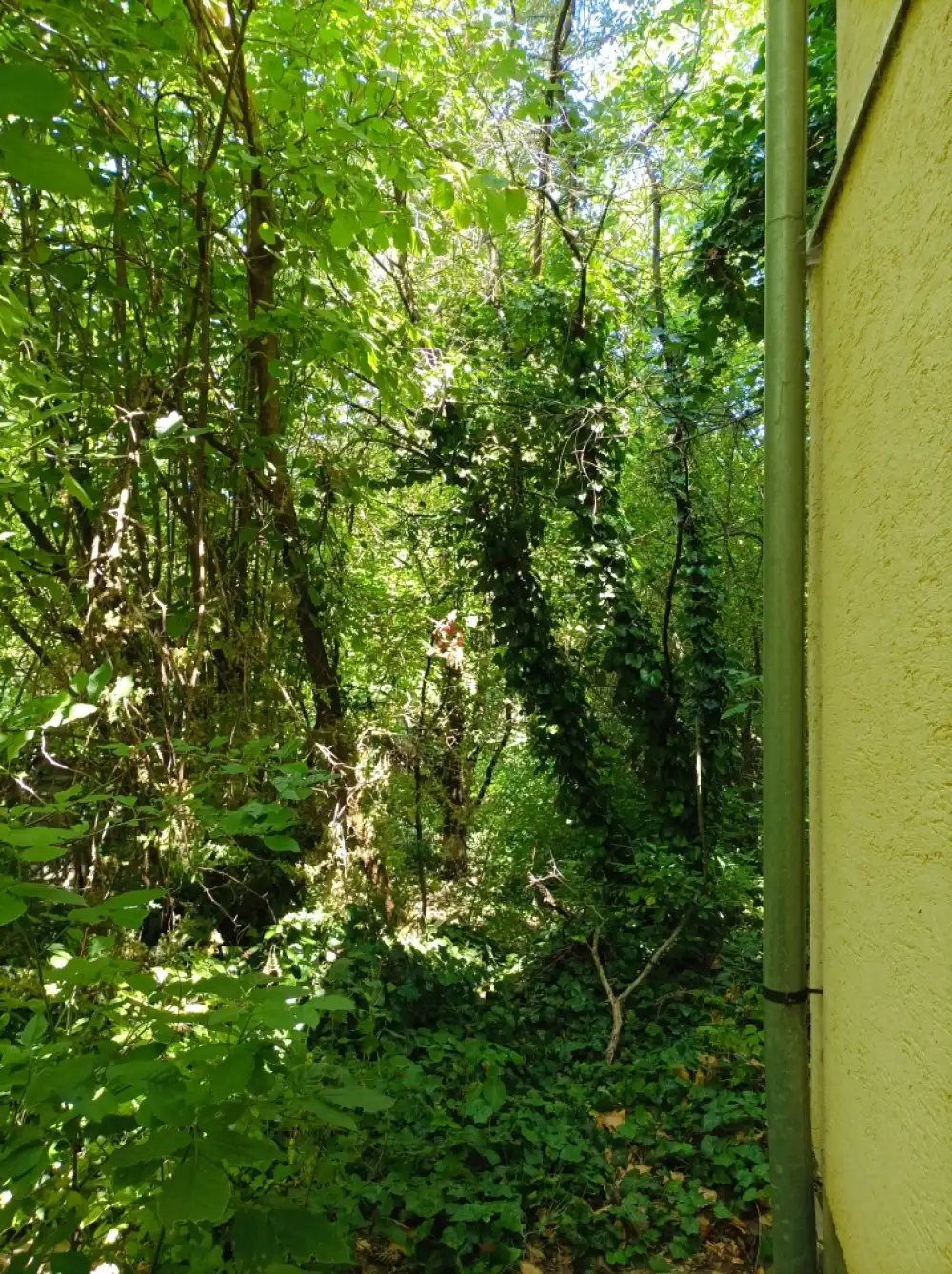 Pest megye - Biatorbágy