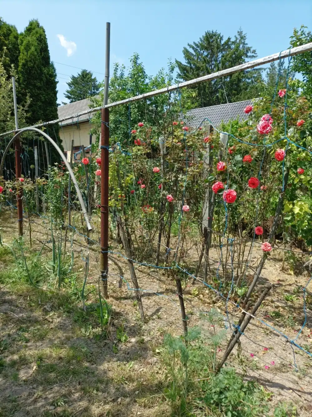 Pest megye - Biatorbágy