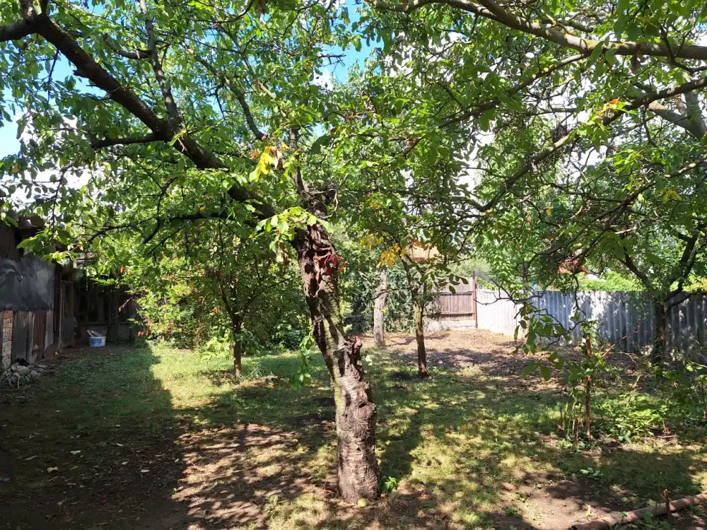 Fejér megye - Bicske