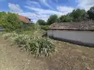 Bács-Kiskun megye - Borota