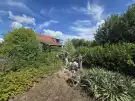 Bács-Kiskun megye - Borota