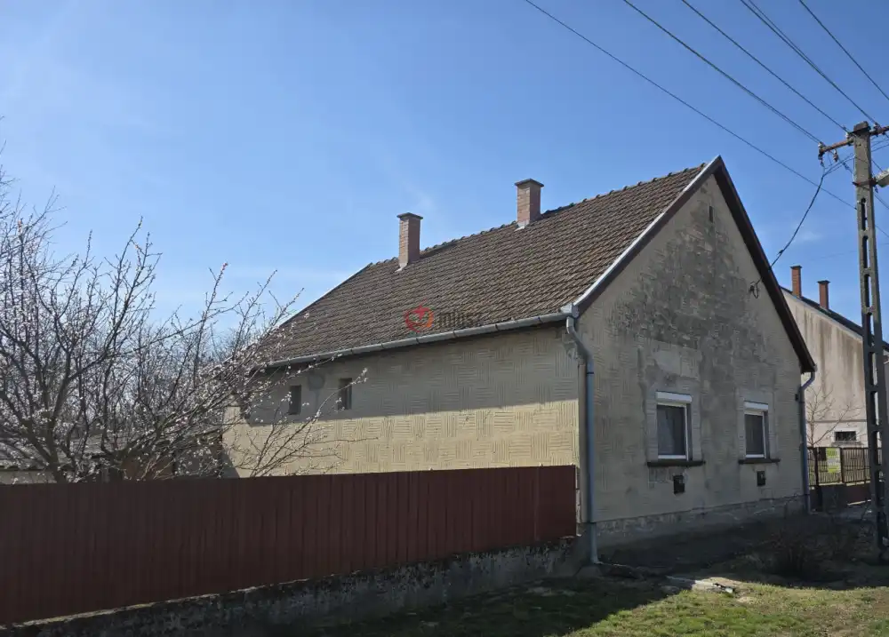 Bács-Kiskun megye - Borota