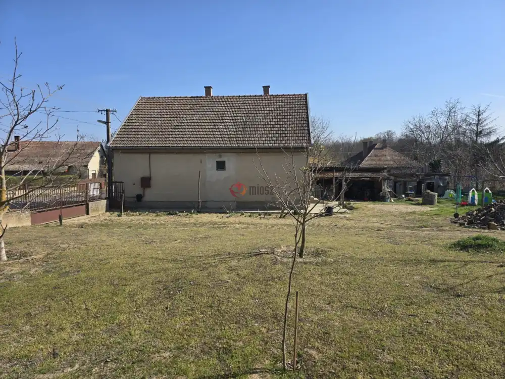 Bács-Kiskun megye - Borota