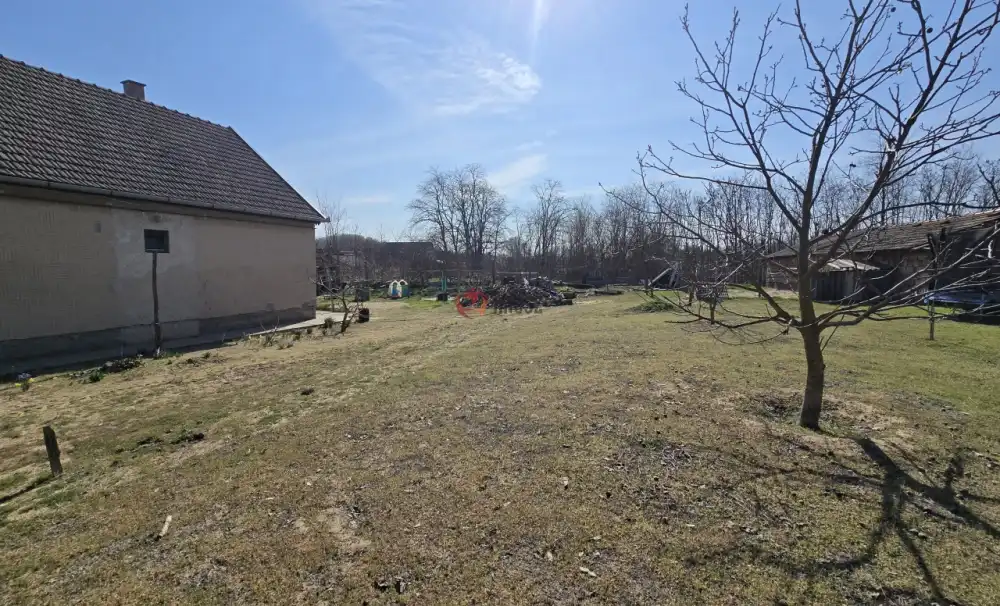 Bács-Kiskun megye - Borota