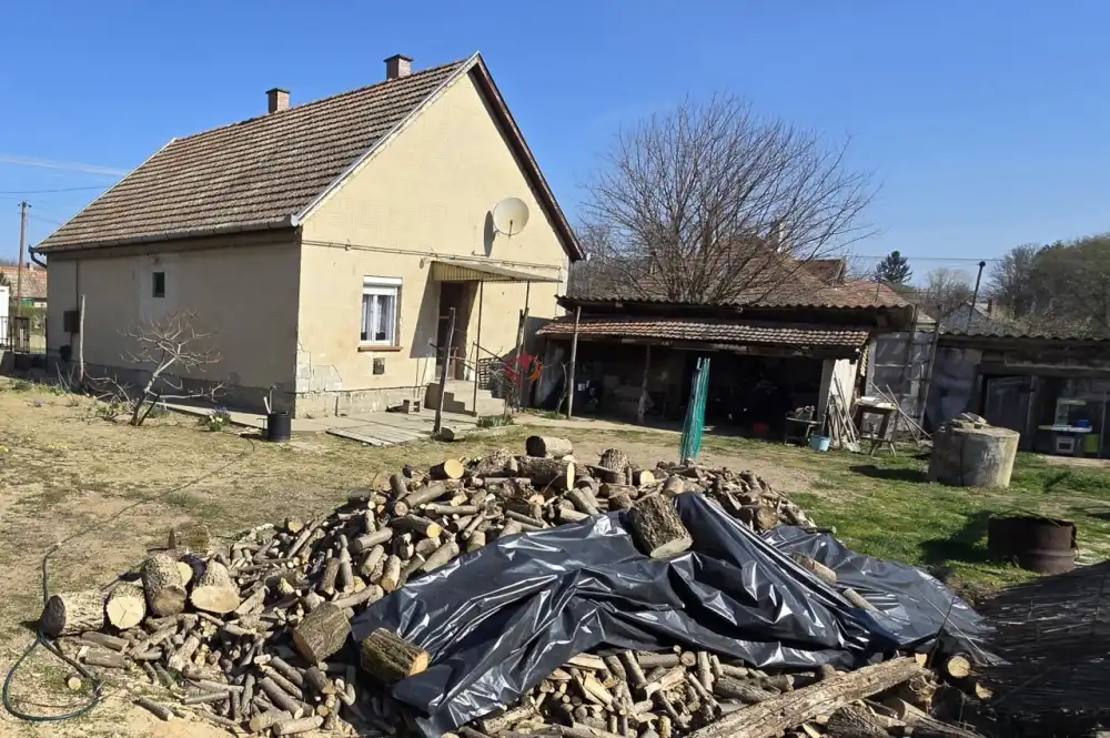 Bács-Kiskun megye - Borota