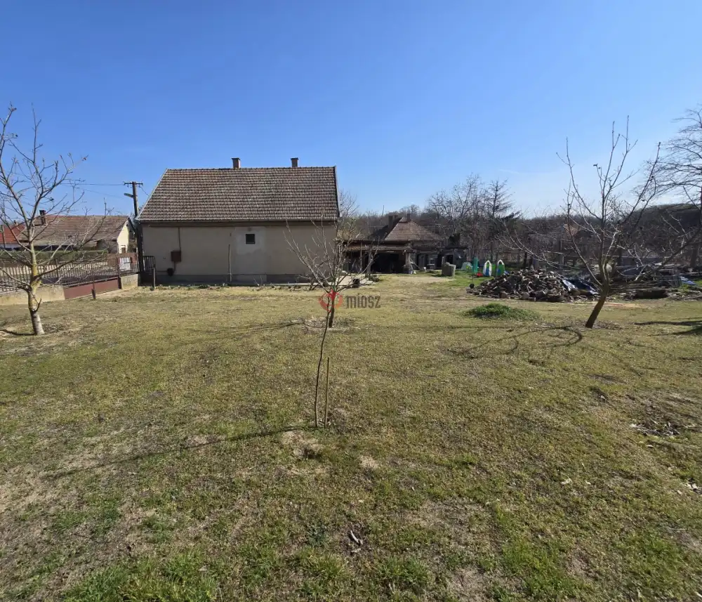 Bács-Kiskun megye - Borota