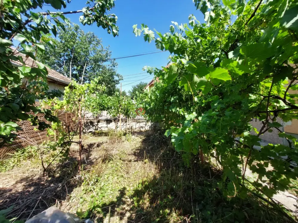 Pest megye - Budakeszi