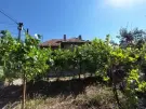 Pest megye - Budakeszi