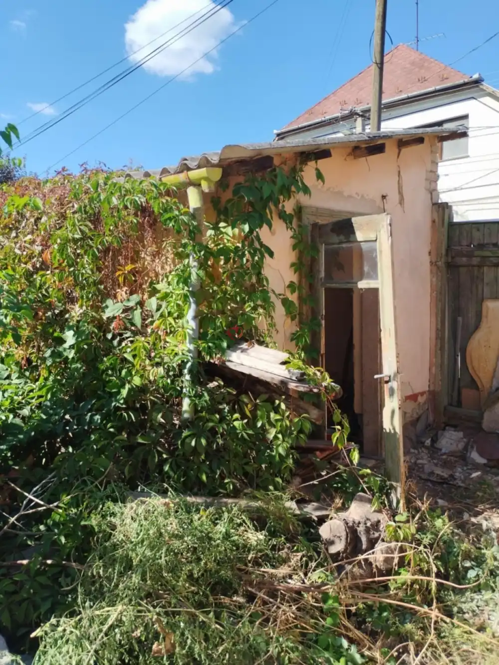 Pest megye - Cegléd