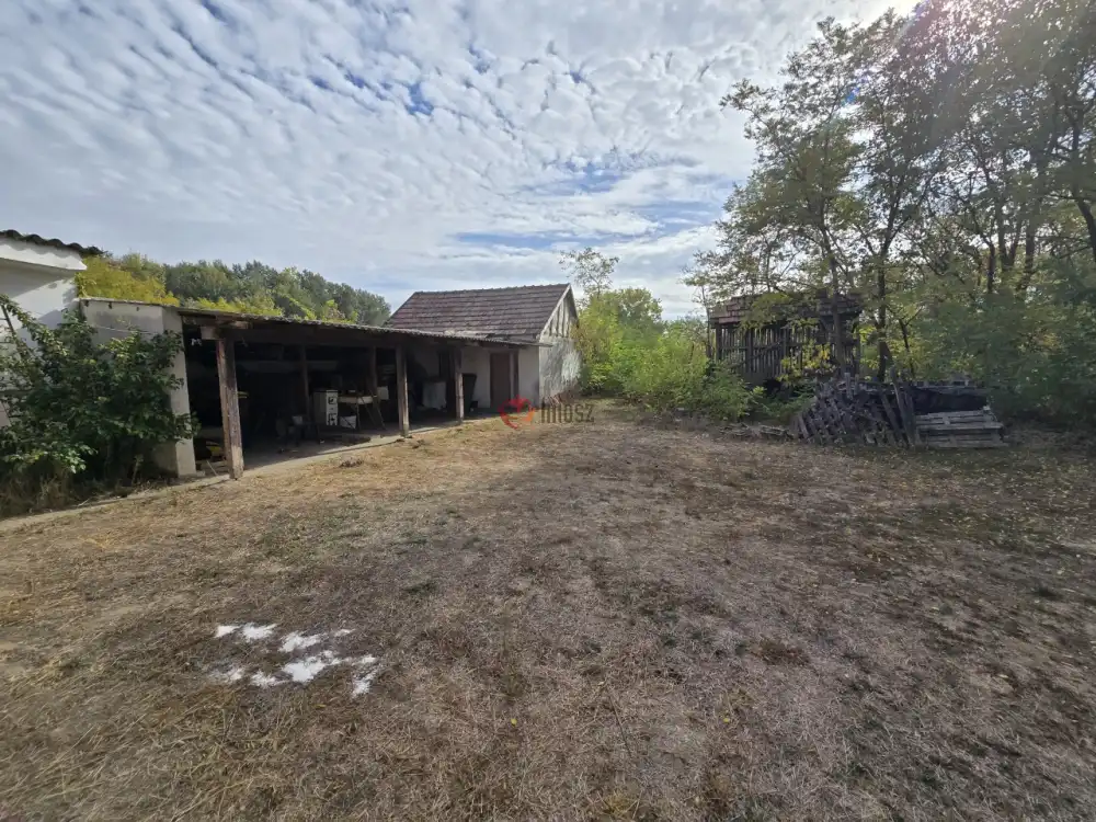 Bács-Kiskun megye - Csikéria