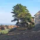 Veszprém megye - Csopak