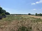 Pest megye - Dabas