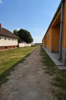 Pest megye - Dabas