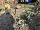 Pest megye - Dömsöd