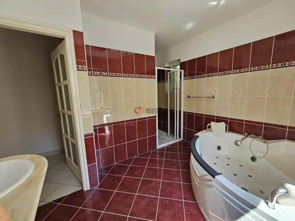 Pest megye - Dunaharaszti