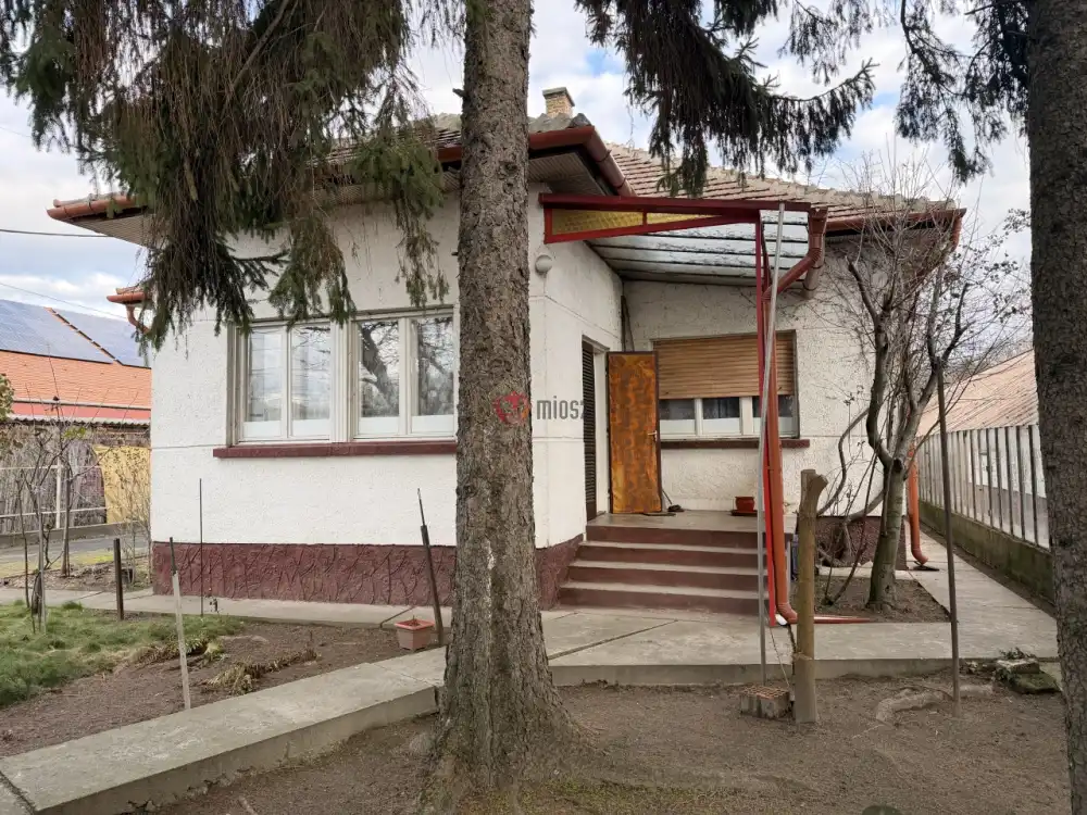 Pest megye - Dunaharaszti