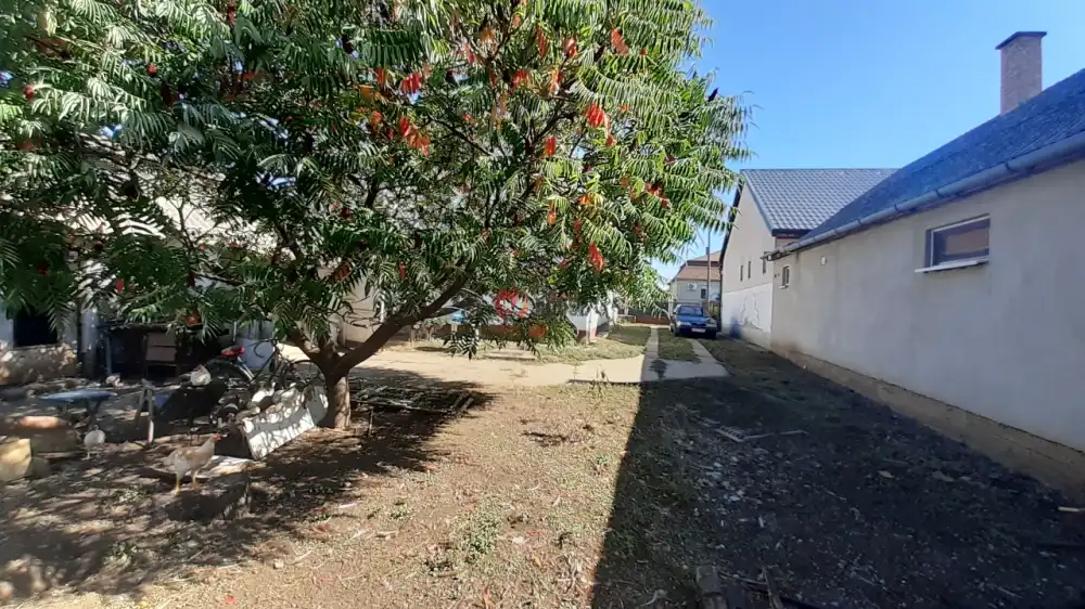 Hajdú-Bihar megye - Ebes