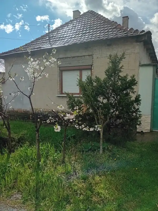 Eladó családi ház, Érsekcsanád 4 szoba 83 m² 14.9 M Ft