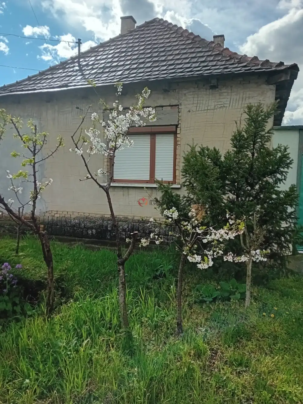 Bács-Kiskun megye - Érsekcsanád
