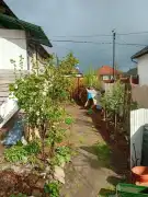 Bács-Kiskun megye - Érsekcsanád