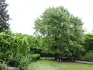 Bács-Kiskun megye - Felsőlajos