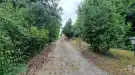 Pest megye - Galgahévíz