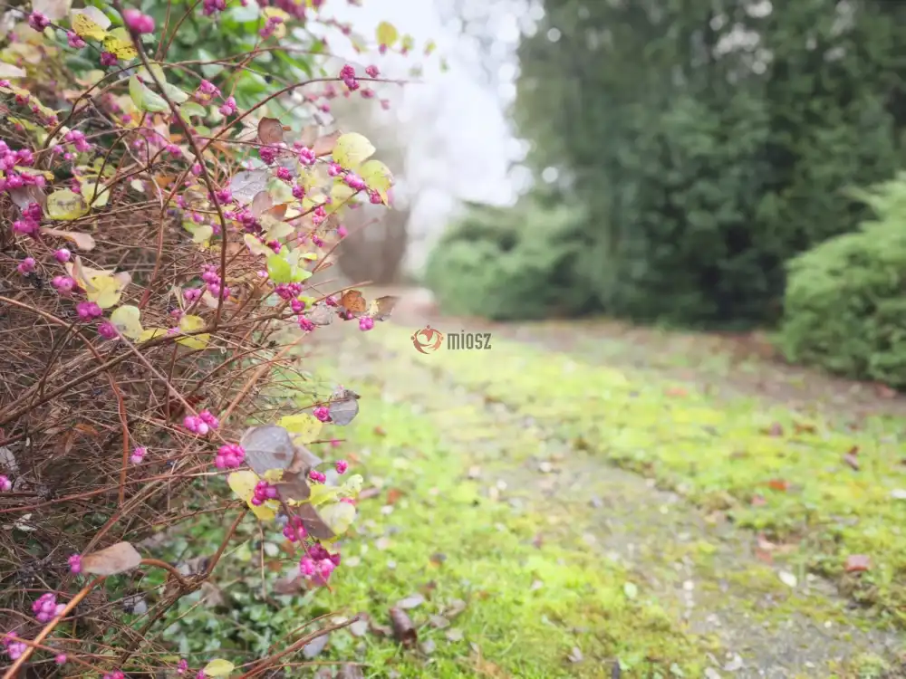 Zala megye - Gellénháza