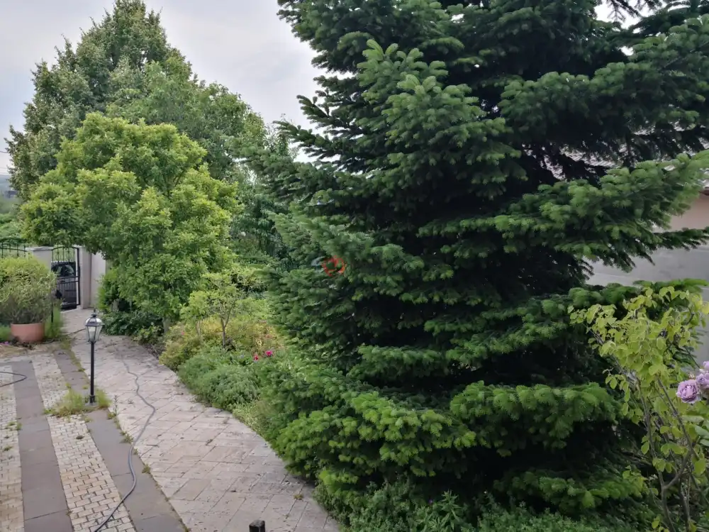 Pest megye - Gödöllő